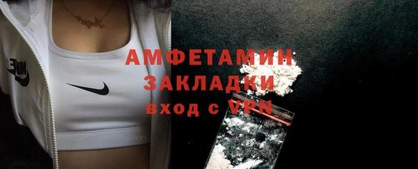 шишки Вязники