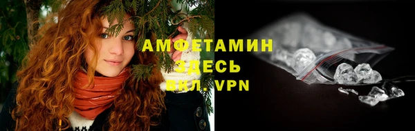 шишки Вязники