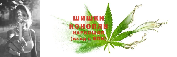 шишки Вязники
