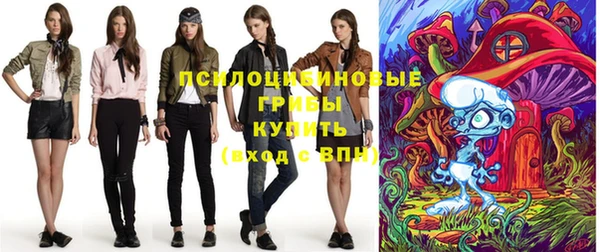 spice Вяземский