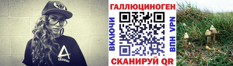 Псилоцибиновые грибы прущие грибы  Купить  Высоцк 